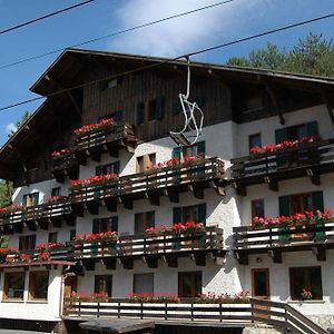 Hotel Garnì Mille Pini